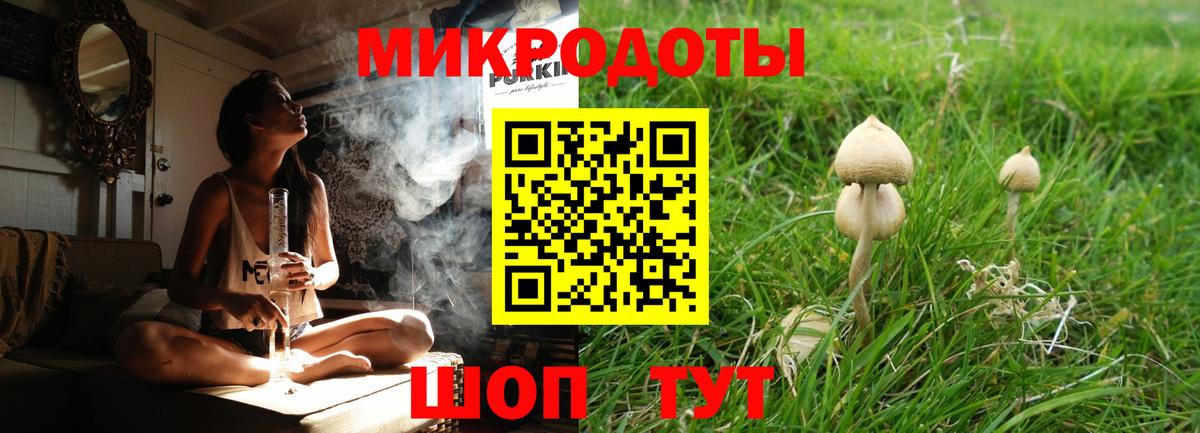 Элиста  Псилоцибиновые грибы ЛСД  Вход с VPN 