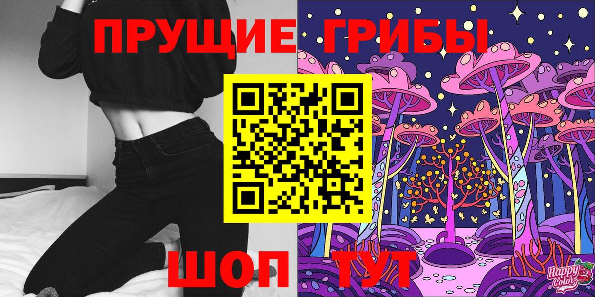 Псилоцибиновые грибы Psilocybine cubensis Элиста