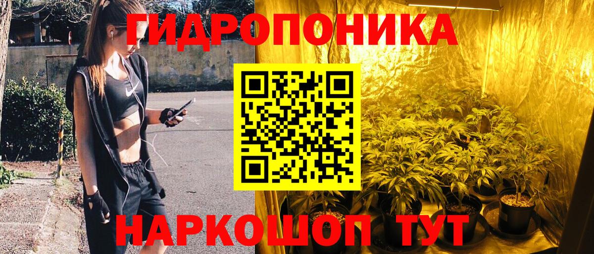 Бошки марихуана White Widow  Каннабис конопля  Вход с VPN  Бошки Шишки VHQ  Элиста 